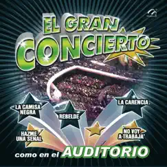 La Carencia (En Vivo) Song Lyrics