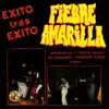 Exito Tras Exito album lyrics, reviews, download