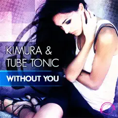 Without You (Electro Up! Remix Edit) Song Lyrics