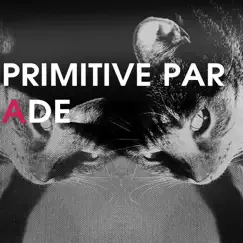 Primitive Parade by National Skyline album reviews, ratings, credits