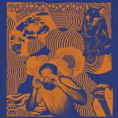 Blue Smoke Orange Sky by Bad Liquor Pond album reviews, ratings, credits
