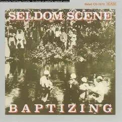 Baptizing by The Seldom Scene album reviews, ratings, credits