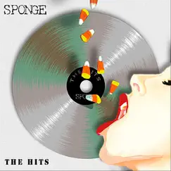 The Hits (Rerecorded) - Single by Sponge album reviews, ratings, credits