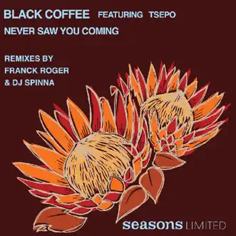 Never Saw You Coming - Single by Black Coffee album download