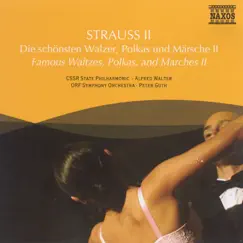 Unter Donner und Blitz, Polka Schnell, Op. 324 Song Lyrics