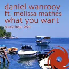 What You Want (Kris O'Neil Remix) [feat. Melissa Mathes] Song Lyrics