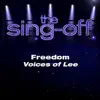 Freedom (from "The Sing-Off") - Single album lyrics, reviews, download