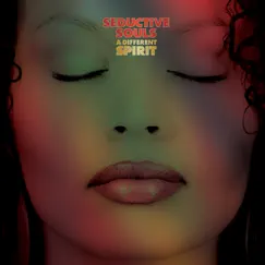 A Different Spirit by Seductive Souls album reviews, ratings, credits