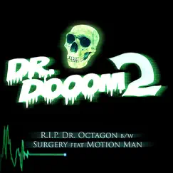 R.I.P. Dr. Octagon (Instrumental) Song Lyrics