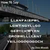How To Say LlanfairPG album lyrics, reviews, download