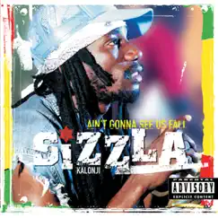 Ain't Gonna See Us Fall by Sizzla album reviews, ratings, credits