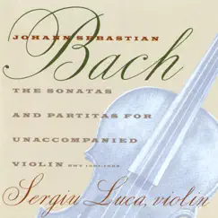 Partita for solo violin No. 1 in B Minor, BWV 1002: V. Sarabande Song Lyrics