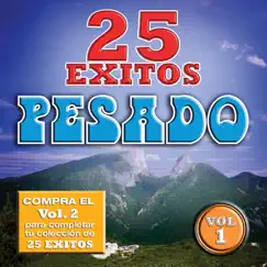 Pesado: 25 Éxitos Pesados by Pesado album reviews, ratings, credits