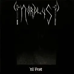 Til Pest by Nordlys album reviews, ratings, credits