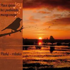 Relax - Ambient Sounds of Birds by Singing Birds of Poland album reviews, ratings, credits