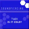 Is It Cold? album lyrics, reviews, download