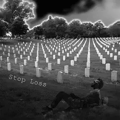 Stop Loss (feat. Brandon West) - Single by David Gielan album reviews, ratings, credits
