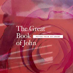 Never Tear Us Apart - Single by The Great Book of John album reviews, ratings, credits