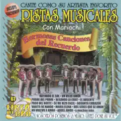 Hermosas Canciones del Recuerdo - Con Mariachi (Pistas Musicales) by Mariachi Sayula album reviews, ratings, credits