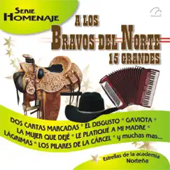 A los Bravos del Norte - 15 Grandes - Serie Homenaje by Voces de la Academia album reviews, ratings, credits