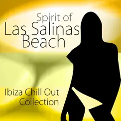 Spirit of las Salinas Beach Vol.1 (Ibiza Chill Out Collection) by Immaculate Ibiza & Solar Sides album reviews, ratings, credits