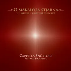 O Makalösa Stjärna (Julmusik I Snötorps Kyrka) (feat. Rickard Söderberg) by Cappella Snöstorp & Rickard Söderberg album reviews, ratings, credits