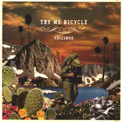 Voicings by Try Me Bicycle album reviews, ratings, credits