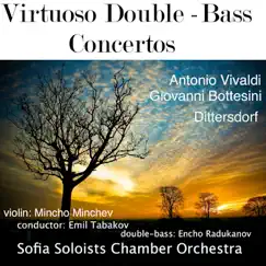 Sinfonia concertante for Viola, Double-Bass and Orchestra: III. Menuetto Song Lyrics