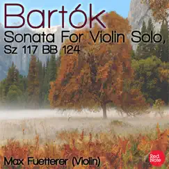 Sonata For Solo Violin, Sz 117, BB 124: I. Tempo di ciaccona Song Lyrics
