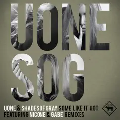 Some Like It Hot (Gabe Remix) Song Lyrics