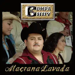 Alacrána Lavada Song Lyrics