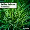 What Do You See? (Adrien Aubrun Ambient Mix) [feat. Simon Latham] song lyrics