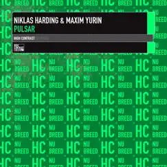 Pulsar - Single by Niklas Harding & Maxim Yurin album reviews, ratings, credits