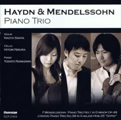 Piano Trio No.1 In D minor Op. 49: I. Molto Allegro ed agitato Song Lyrics
