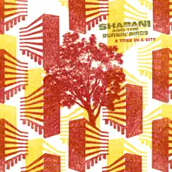 A Tree In a City by Shabani and the Burnin' Birds album reviews, ratings, credits