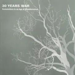 Formulations In an Age of Misinformation by 30 Years War album reviews, ratings, credits
