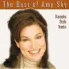 The Best of Amy Sky Karaoke Style Tracks album lyrics, reviews, download