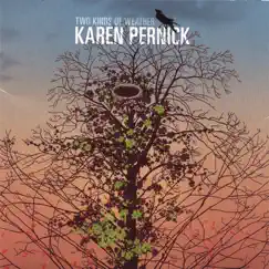 Two Kinds of Weather by Karen Pernick album reviews, ratings, credits