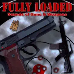 Gun / Machine / Load and Fire Through Glass Song Lyrics