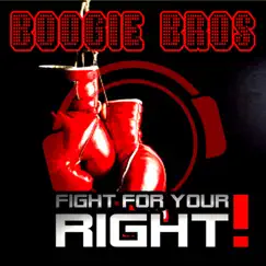 Fight for Your Right (DJ Anady vs. Sander Remix Edit) Song Lyrics