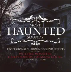 Most Haunted Sounds by Professional Surround Recording Effects album reviews, ratings, credits