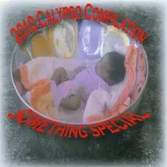 2010 Calypso Compilation – Something Special by Various Artists album reviews, ratings, credits