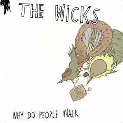 Why Do People Walk by The Wicks album reviews, ratings, credits