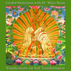 Visualizations for Self-Transformation by Guided Meditation With Dr. Miles Neale album reviews, ratings, credits