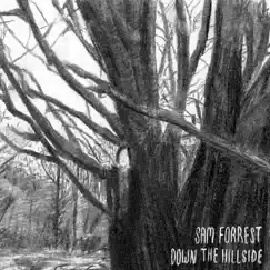 Down the Hillside by Sam Forrest album reviews, ratings, credits