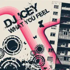 Touch the Light (DJ Icey vs. Audiostalkers Mix) Song Lyrics