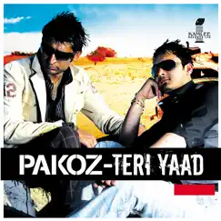 Teri Yaad Song Lyrics