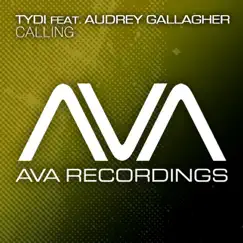 Calling (Original Mix) [feat. Audrey Gallagher] Song Lyrics
