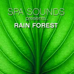 Rain Forest by Spa Sounds Musicians album reviews, ratings, credits