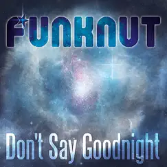 Don't Say Goodnight Song Lyrics